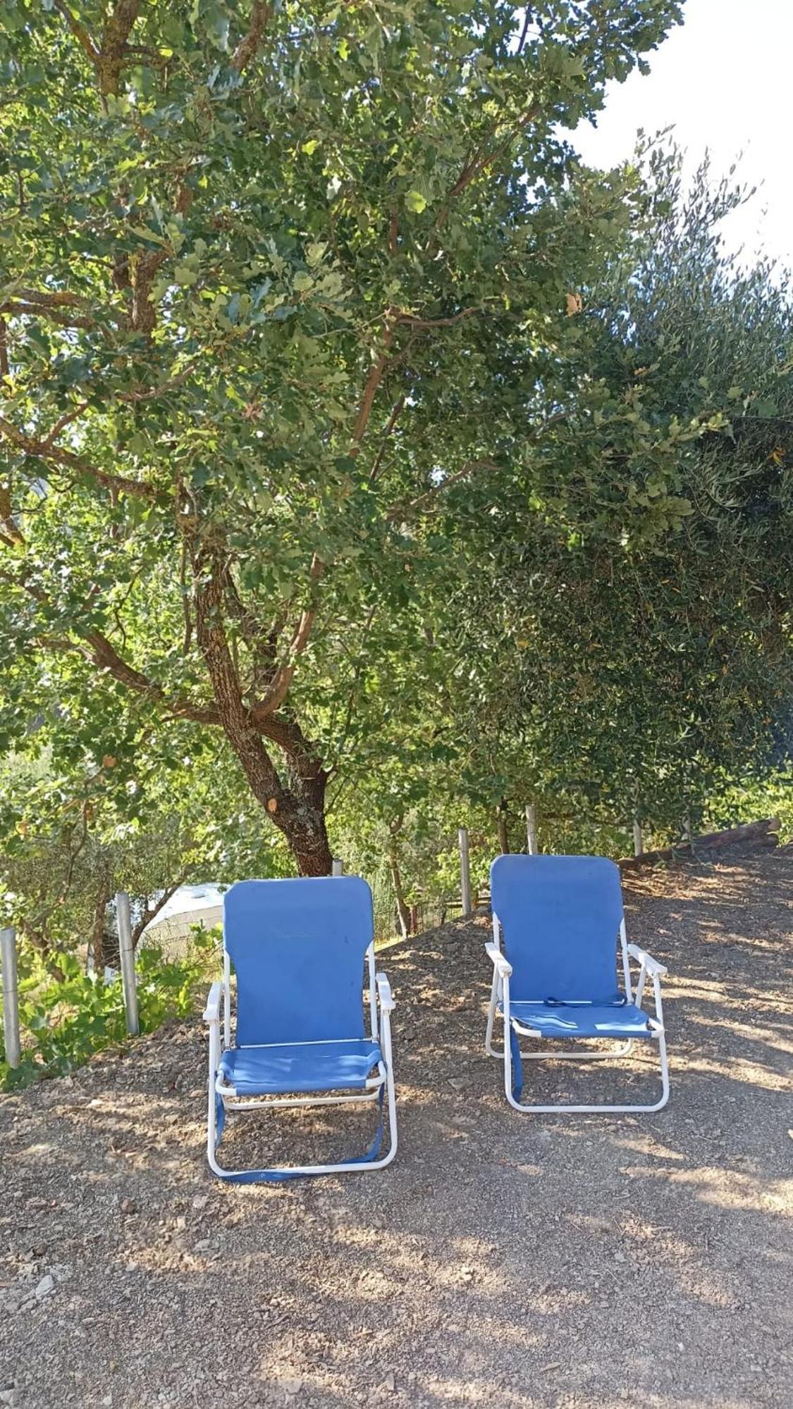 B&B Lavanda E Rosmarino Capolona Exterior foto