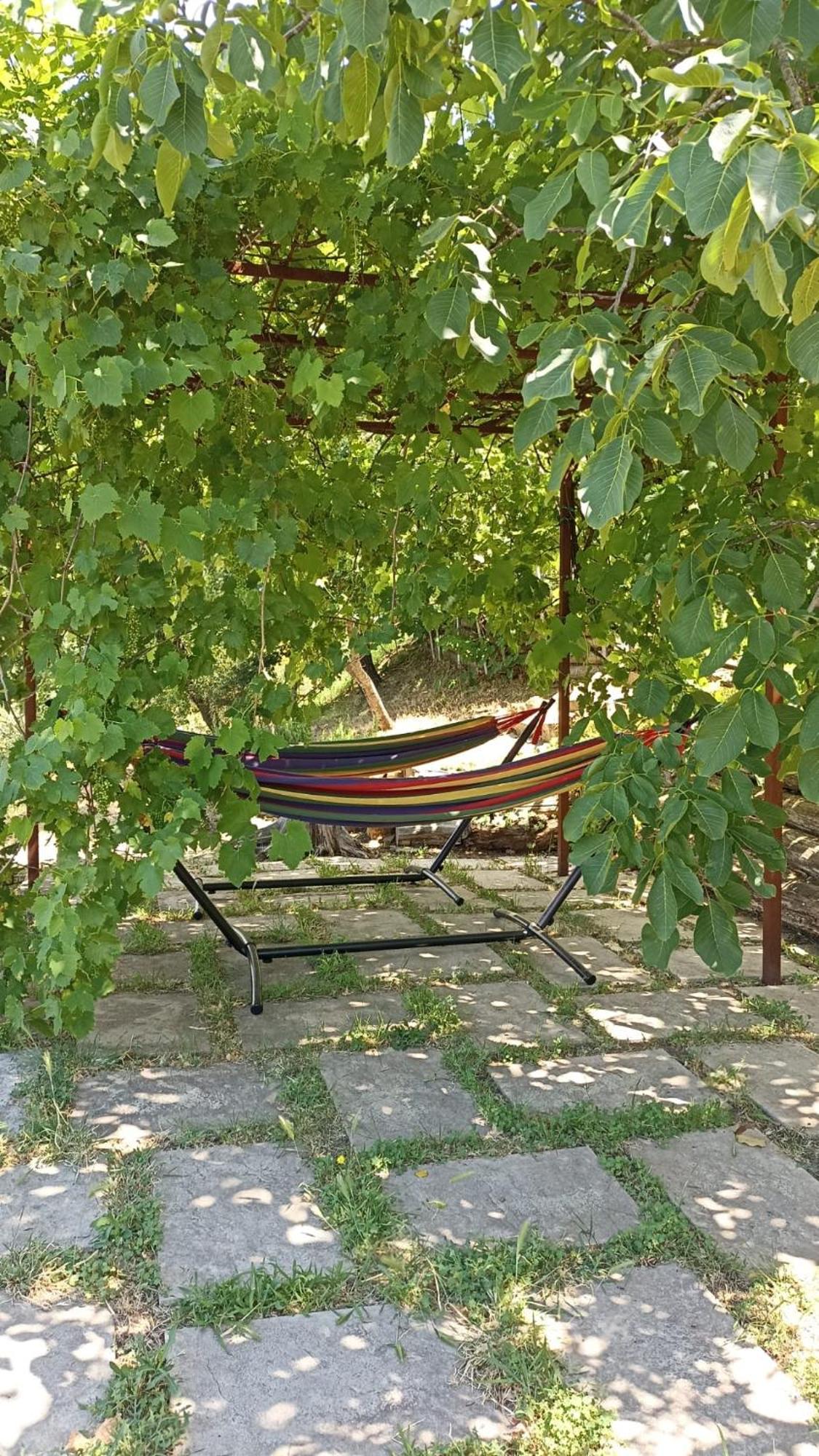 B&B Lavanda E Rosmarino Capolona Exterior foto